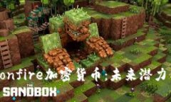 深入解析Bonfire加密货币：未来潜力与投资机会