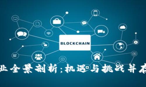 加密货币初创行业全景剖析：机遇与挑战并存的数字货币未来