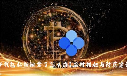 TP钱包私钥泄露了怎么办？应对措施与防范建议
