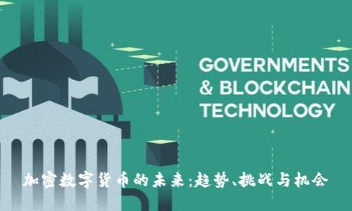 加密数字货币的未来：趋势、挑战与机会