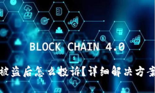 TP钱包被盗后怎么投诉？详细解决方案与建议