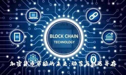 加密货币市场的未来：动荡与机遇并存