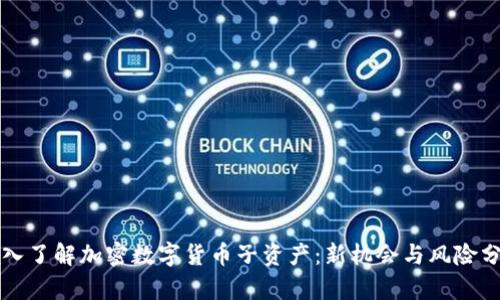 深入了解加密数字货币子资产：新机会与风险分析