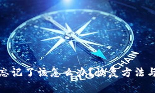 TP冷钱包密码忘记了该怎么办？恢复方法与注意事项详解