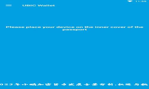 2023年小鹏加密货币发展全景分析：机遇与挑战