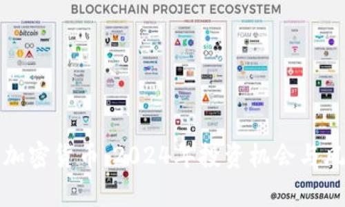 爆发的加密货币：2024年投资机会与风险分析
