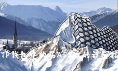 在TP钱包中购买ASS币的详细