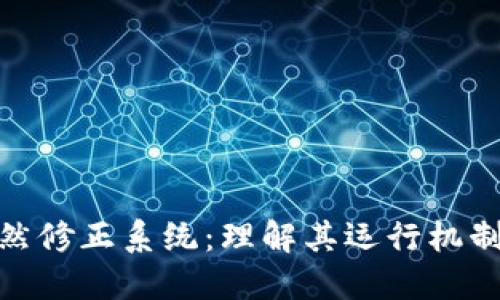 加密货币自然修正系统：理解其运行机制与市场影响