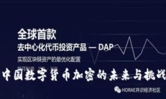 中国数字货币加密的未来与挑战