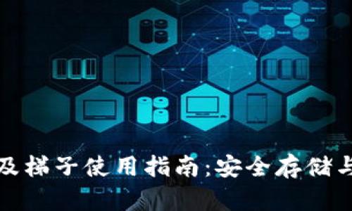 : TP钱包及梯子使用指南：安全存储与高效翻墙