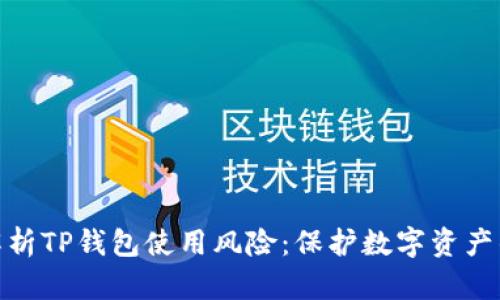 全面解析TP钱包使用风险：保护数字资产的关键