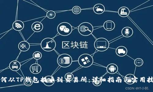 如何从TP钱包提币到交易所：详细指南与实用技巧