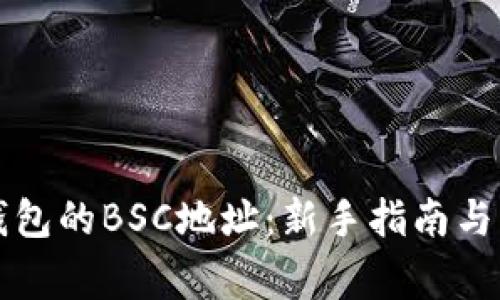 如何获取TP钱包的BSC地址：新手指南与常见问题解答