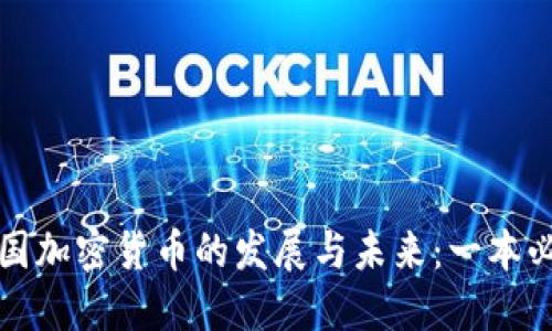 探索中国加密货币的发展与未来：一本必读指南