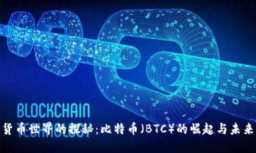 加密货币世界的探秘：比特币（BTC）的崛起与未来之路