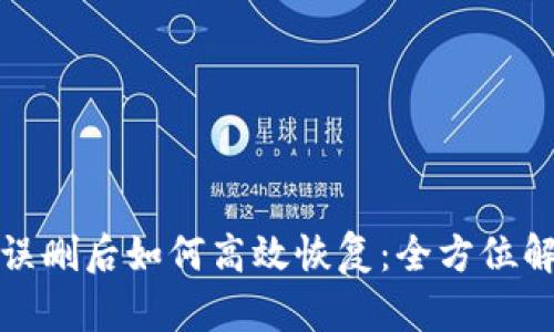 TP钱包误删后如何高效恢复：全方位解决方案