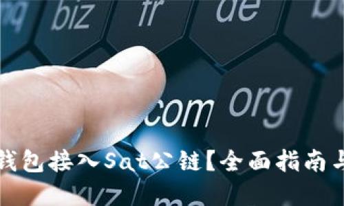 如何将TP钱包接入Sat公链？全面指南与实用技巧