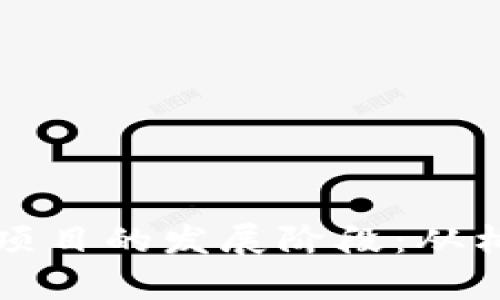 深入解析加密货币项目的发展阶段：从构想到上线的每一步
