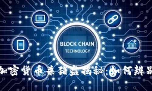 雅加达加密货币杀猪盘揭秘：如何辨别与防范