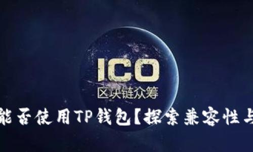 平板电脑能否使用TP钱包？探索兼容性与使用体验
