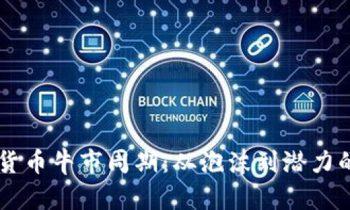 解析加密货币牛市周期：从泡沫到潜力的全景视角