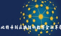 《加密货币之王：从比特