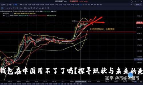 TP钱包在中国用不了了吗？探寻现状与未来的走向