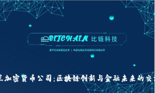 荷兰加密货币公司：区块链创新与金融未来的交汇点
