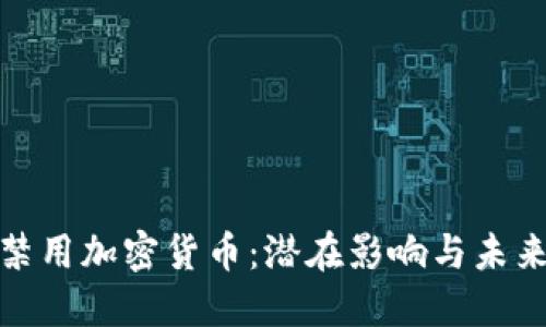 欧美禁用加密货币：潜在影响与未来趋势