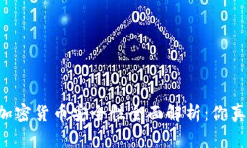 手机自带加密货币安全性全面解析：你真的了解吗？