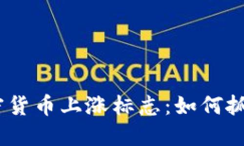 2023年加密货币上涨标志：如何抓住市场机遇