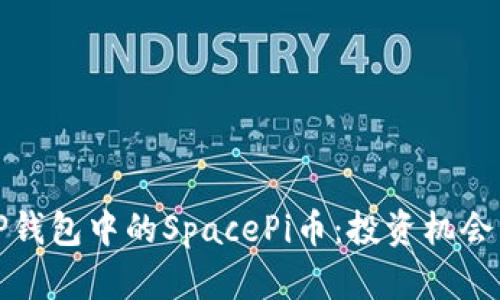 深入解读TP钱包中的SpacePi币：投资机会与市场趋势