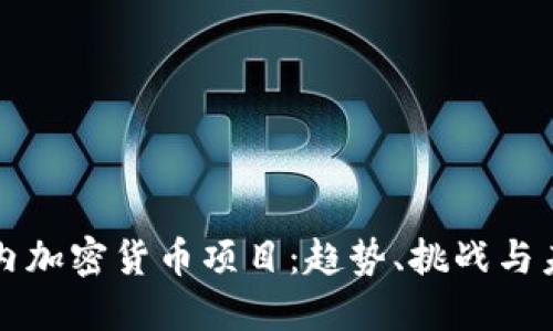 探索国内加密货币项目：趋势、挑战与未来展望