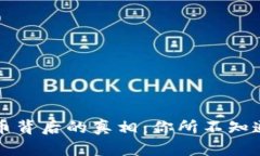 揭开加密货币背后的真相