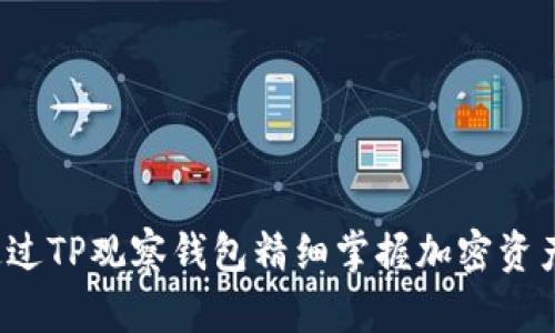 如何通过TP观察钱包精细掌握加密资产动向？