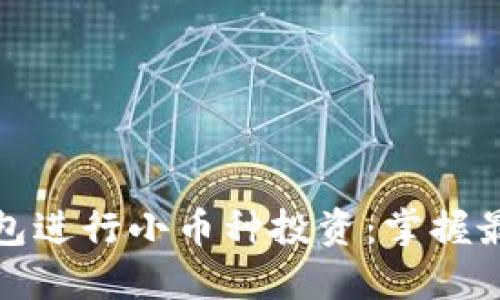 如何利用TP钱包进行小币种投资：掌握最新趋势与策略