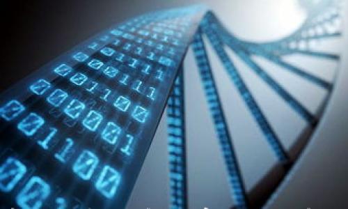 

加密货币与证券：了解数字时代的金融新常态