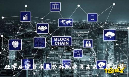 数字加密货币监管的现状与未来发展趋势