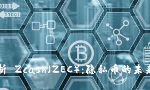 全面解析 Zcash（ZEC）：隐私币的未来与挑战