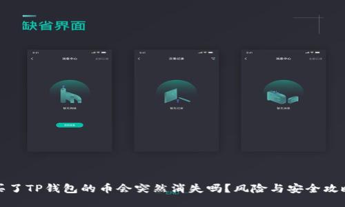 买了TP钱包的币会突然消失吗？风险与安全攻略