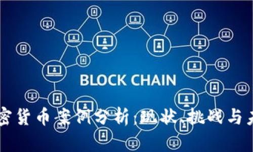 国内加密货币案例分析：现状、挑战与未来展望