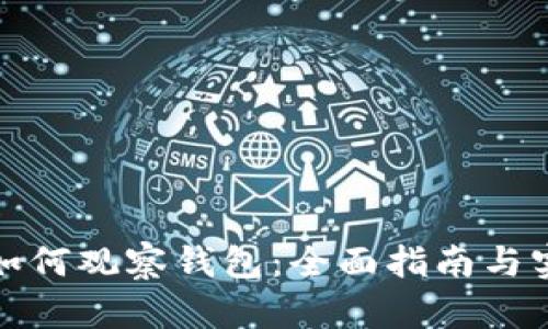 tp钱包如何观察钱包：全面指南与实用技巧