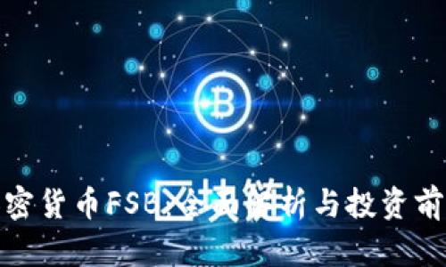 加密货币FSB：全面解析与投资前景