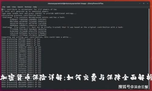 加密货币保险详解：如何交费与保障全面解析