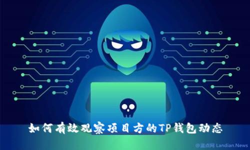 如何有效观察项目方的TP钱包动态