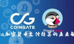 Visa加密货币支付结算的未