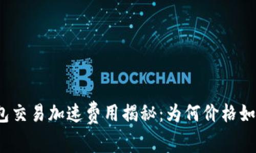 TP钱包交易加速费用揭秘：为何价格如此高？