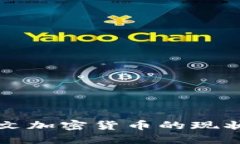 深入探索中文加密货币的