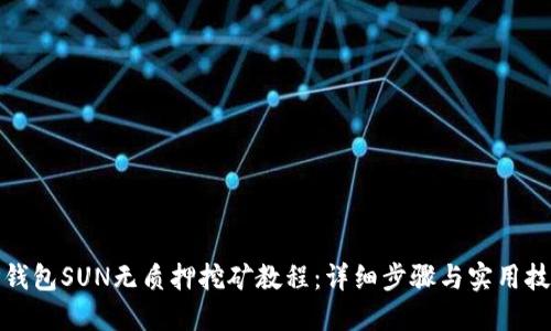TP钱包SUN无质押挖矿教程：详细步骤与实用技巧