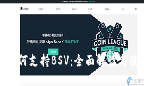 TP钱包如何支持BSV：全面解读与使用指南